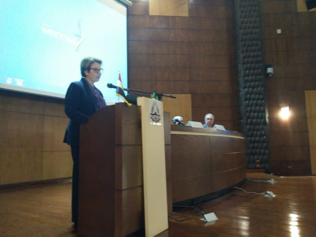 A ministra da Agricultura, Tereza Cristina, no Cairo