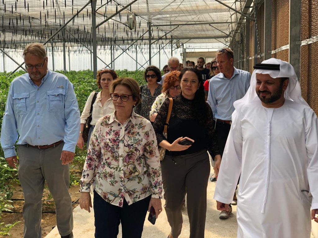 زيارة البعثة البرازيلية إلى مزرعة فاكهة وخضراوات في الصحراء