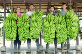 WhatsApp Image 2019-10-29 at 16.00.39