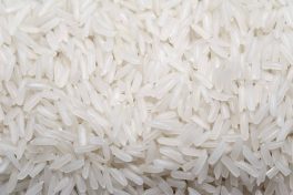 Egito produzirá mais arroz em 2019