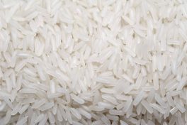 Egito produzirá mais arroz em 2019
