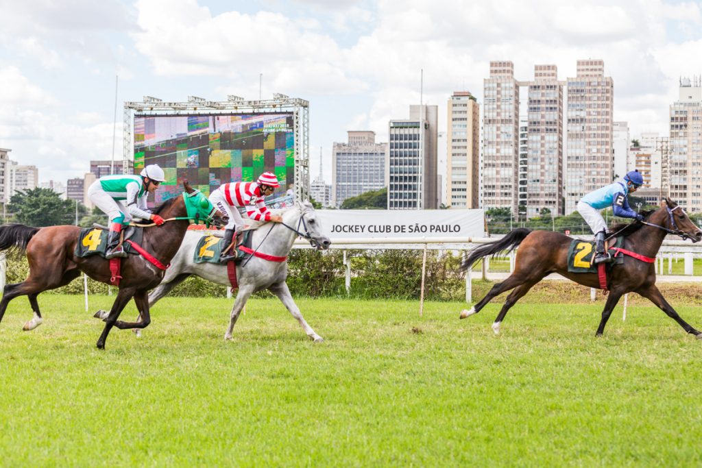 Câmara Árabe patrocina corrida de cavalos árabes no Jockey Club de São Paulo em homenagem aos Emirados Árabes Unidos