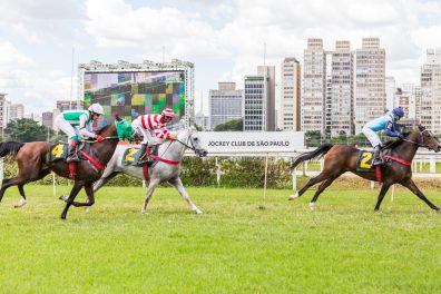 GP Câmara Árabe ocorre neste sábado no Jockey Club