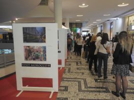 São Paulo recebe Semana Marroquina