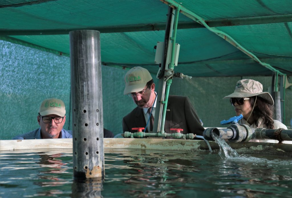 O presidente da Embrapa, Celso Moretti, visita instalações nos Emirados