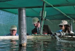 Nos Emirados, Embrapa busca parcerias e investimentos