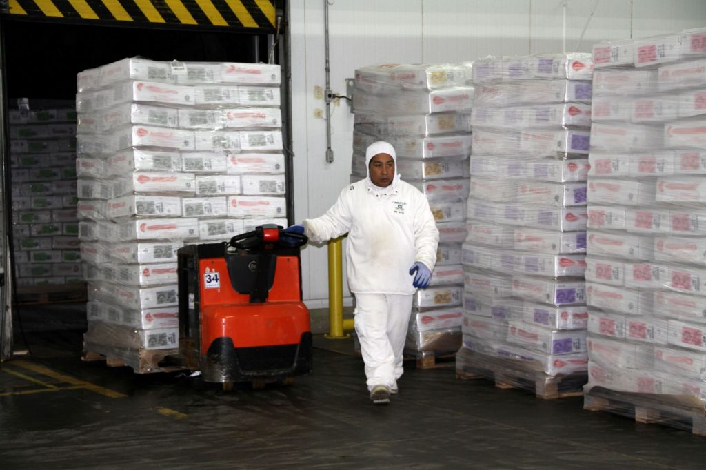 Agronegócio tem potencial para ampliar vendas à Liga Árabe Exportação de carne de frango