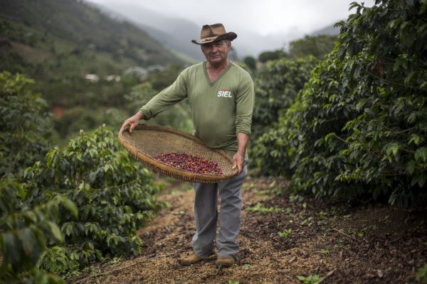 DOUNIAMAG-BRAZIL-ECONOMY-COFFEE-ARABICA