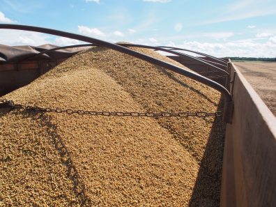 "GRANERO" DE BRASIL AMBICIONA ALIMENTAR A GRAN PARTE DEL MUNDO