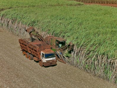 cana - Unica- credito Tadeu Fessel