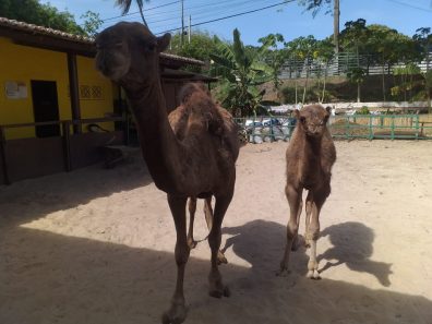 WhatsApp Image 2020-06-08 at 15.41.29