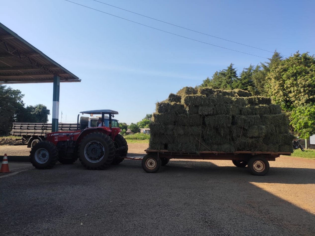 WhatsApp Image 2020-06-30 at 10.28.17