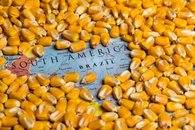 Agribusiness grows in pandemic, becomes more attractive