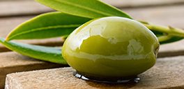 azeitonaafp-1140x620