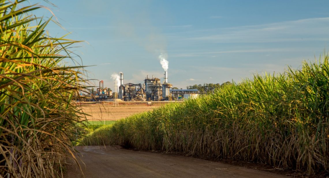 Brazil steps up sugar production and exports Agência de Notícias
