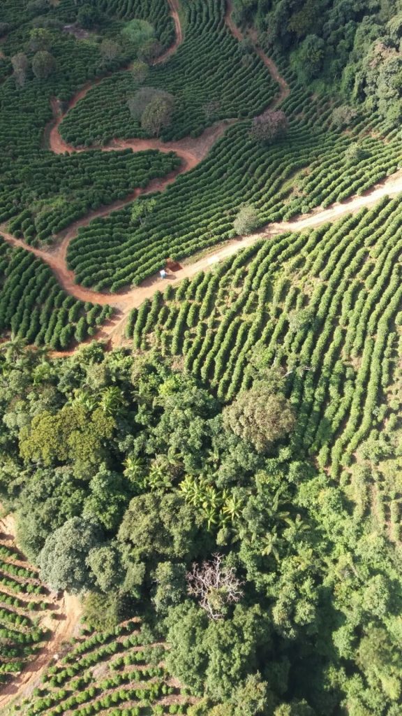 Higher costs, uncertain sales mark coffee crop