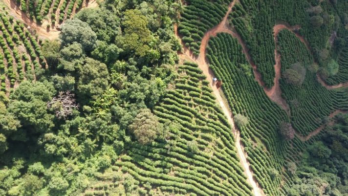 Screenshot_20200611-181812_WhatsApp