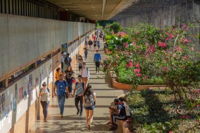 Arabs eligible to pursue graduate studies in Brazil in 2021