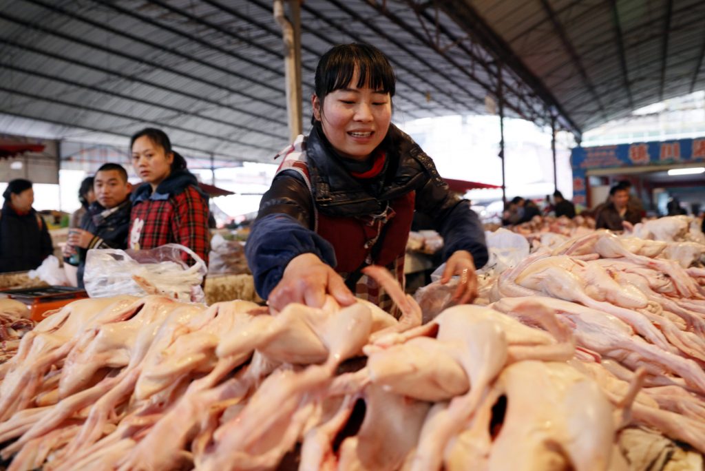 Exportação de frango cai, mas Ásia e Egito compram mais