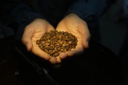 Brazilian coffee sales to Arab countries climbed this year