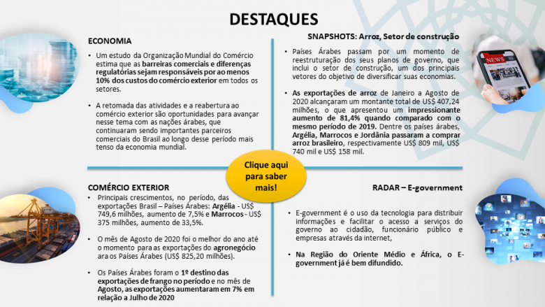 Informe IM - Jan - Agosto - Port - Destaques