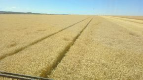 WhatsApp Image 2020-09-23 at 17.42.58