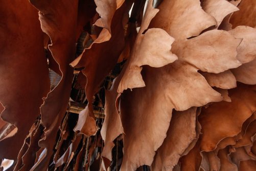 Bangladeshi Tannery Worker