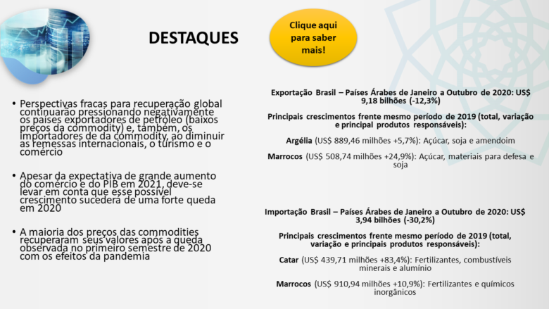 Informe Novembro 2020 - Destaques