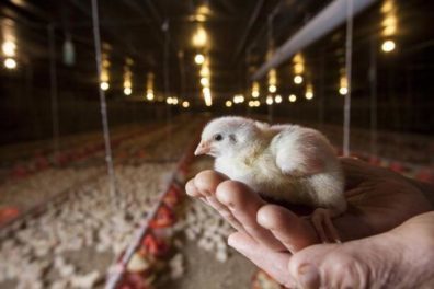 MjAyMC0xMC0yMl8xNS01MC00Ml8xLmpwZ3sidyI6NzAwLCJoIjoxMjUwLCJyZXNpemUiOnRydWUsImNyb3AiOmZhbHNlfQ==