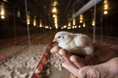 MjAyMC0xMC0yMl8xNS01MC00Ml8xLmpwZ3sidyI6NzAwLCJoIjoxMjUwLCJyZXNpemUiOnRydWUsImNyb3AiOmZhbHNlfQ==