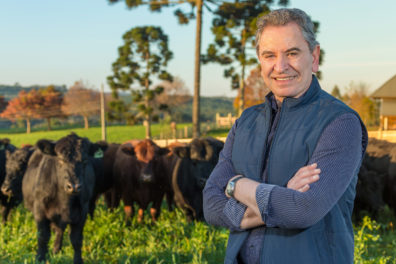 Banco de imagens Associação Brasileira de Angus