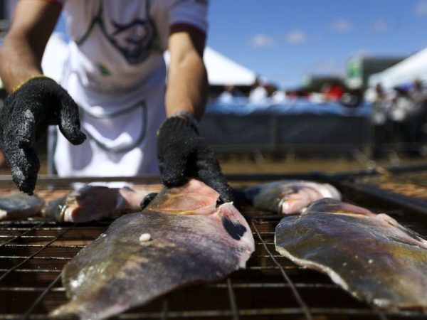 edit_mcmgo_abr_07081920061