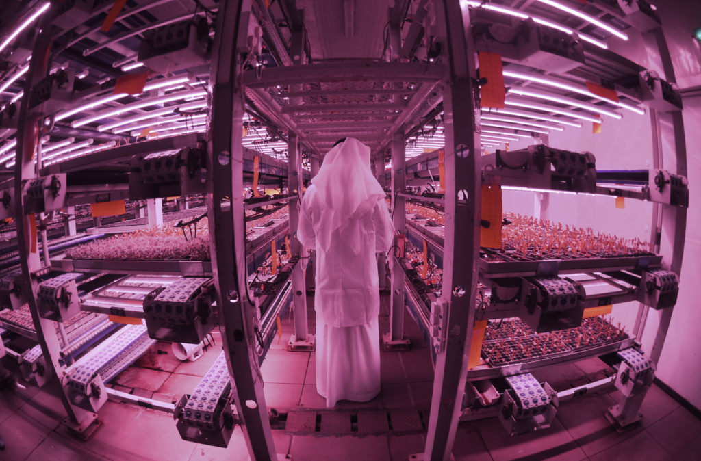 Webinar to cover innovation, technology in Arab world