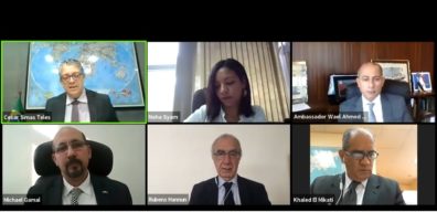 webinar brasil egito zoom