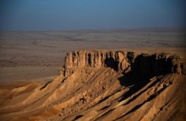 Saudi Arabia supporting global efforts to revive tourism