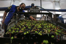 Banco Mundial estima crescimento na economia da Jordânia