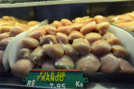 Egito, Jordânia e Iêmen importam mais frango brasileiro