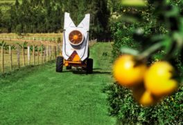 #Podcast 15 - Máquinas agrícolas brasileiras em solo árabe