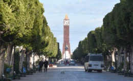 Tunisia orders Covid lockdown on revolution anniversary