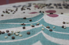 44858073415_8851b4b93c_k