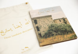 Fotógrafo descendente retrata viagem ao Líbano em fotolivro