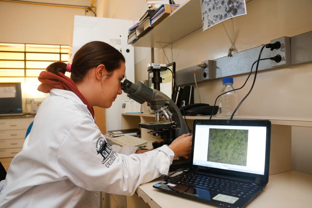 USP named one of best universities in UAE ranking