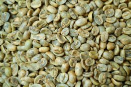 Coffee roasting facility