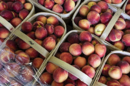 US-HEALTH-VIRUS-ECONOMY