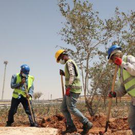 #ANBA 37 – O que o Golfo vem fazendo pela sustentabilidade