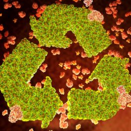 #ANBA 33 – O que é ESG e como impacta a exportação