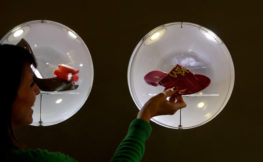 BRAZIL-ECONOMY-BUSINESS-FOOTWEAR-MELISSA