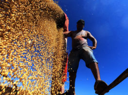 BRAZIL-AGRICULTURE-HARVEST-SOY