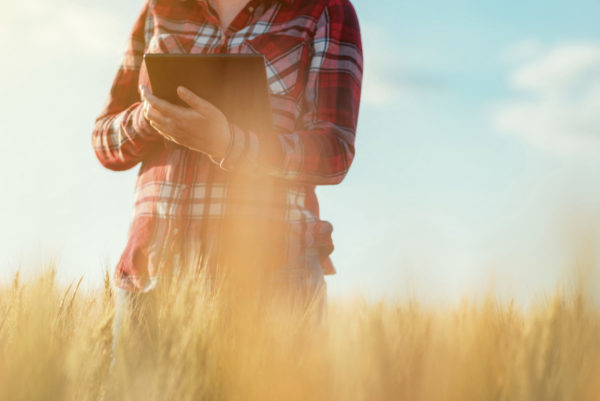 Farmer using digital tablet