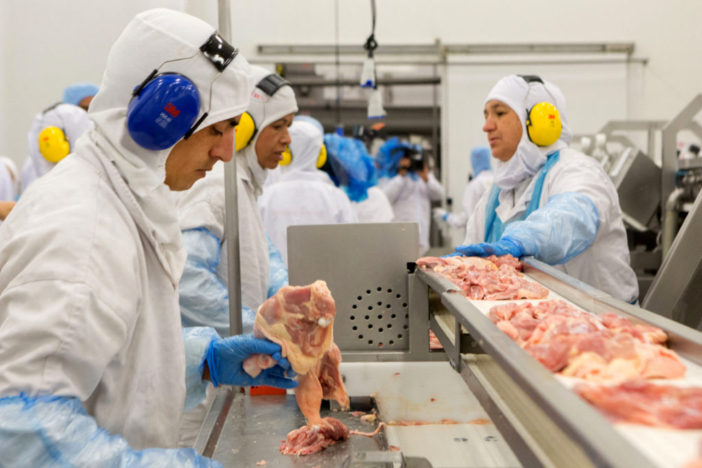 People work at a production line of the JBS-Friboi chicken processing plant during an inspection visit from Brazilian Agriculture Minister Blairo Maggi and technicians of the ministry in Lapa, Parana State, Brazil on March 21, 2017. - Brazil, the world's biggest beef and poultry exporter, has been hit by stomach-churning allegations of corrupt practices in its meat industry. Police have halted exports by 21 meat processers suspected of bribing inspectors to issue them bogus health certificates for rotten meat. (Photo by RODRIGO FONSECA / AFP)